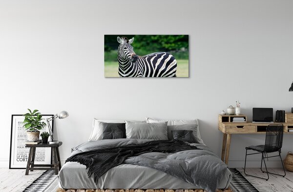 Quadro su tela Campo zebra 100x50 cm