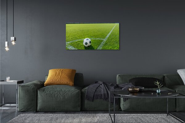Quadro su tela Erba a sfera da stadio 100x50 cm