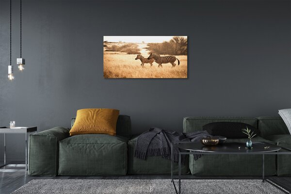 Quadro su tela Zebra Field Sunset 100x50 cm