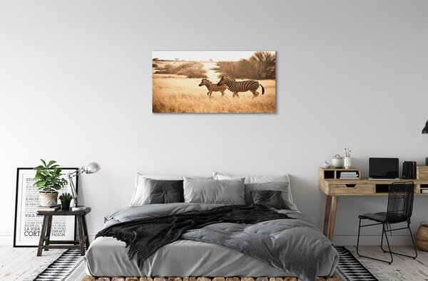 Quadro su tela Zebra Field Sunset 100x50 cm