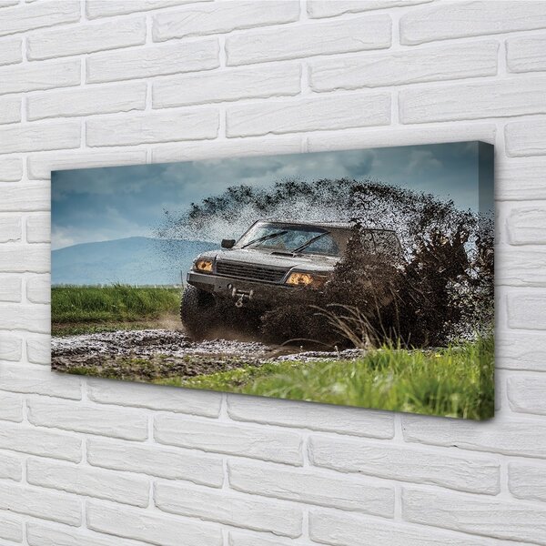 Quadro su tela Auto da campo delle Cloud Mountains 100x50 cm