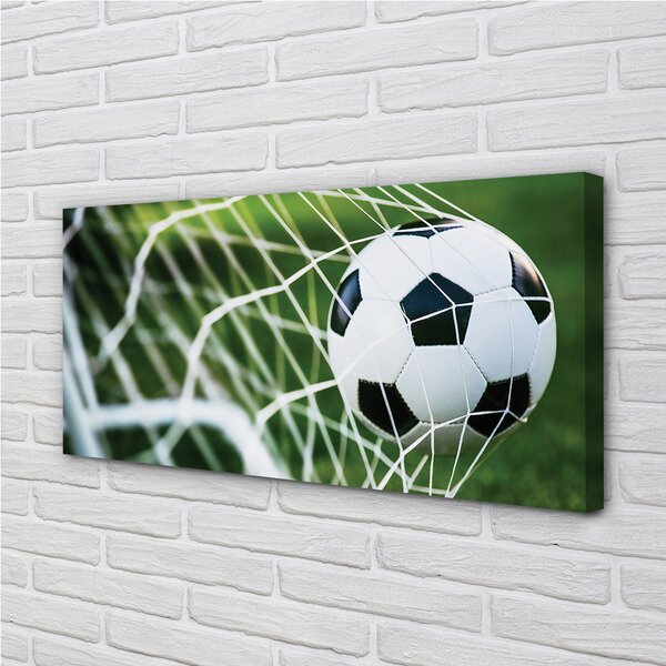 Quadro su tela Cancello a sfera 100x50 cm