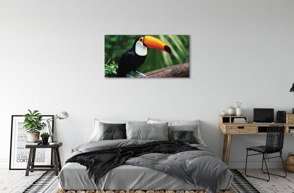 Quadro su tela Tucan su un ramo 100x50 cm