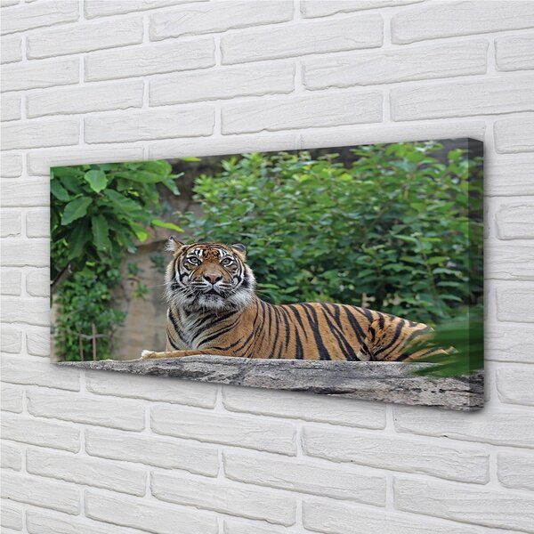 Quadro su tela Foresta di tigre 100x50 cm