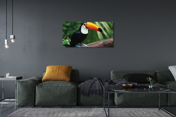 Quadro su tela Tucan su un ramo 100x50 cm