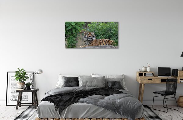 Quadro su tela Foresta di tigre 100x50 cm