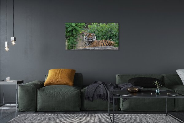 Quadro su tela Foresta di tigre 100x50 cm