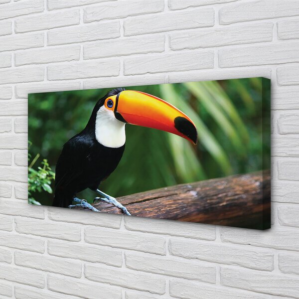 Quadro su tela Tucan su un ramo 100x50 cm
