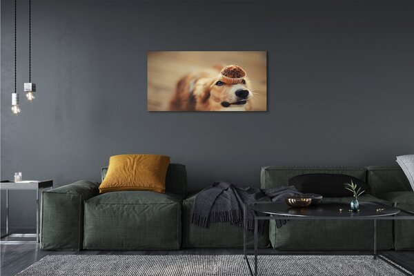 Quadro su tela Cupcake per cani 100x50 cm