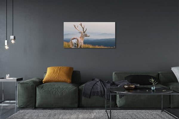 Quadro su tela Mountain Jeleń 100x50 cm