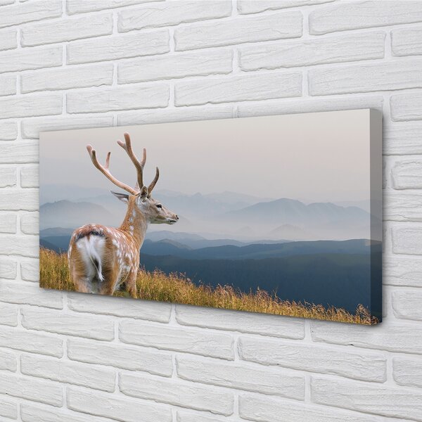 Quadro su tela Mountain Jeleń 100x50 cm