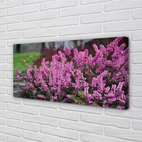 Quadro su tela Erica 100x50 cm
