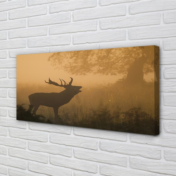Quadro su tela Jeleń Sunrise 100x50 cm