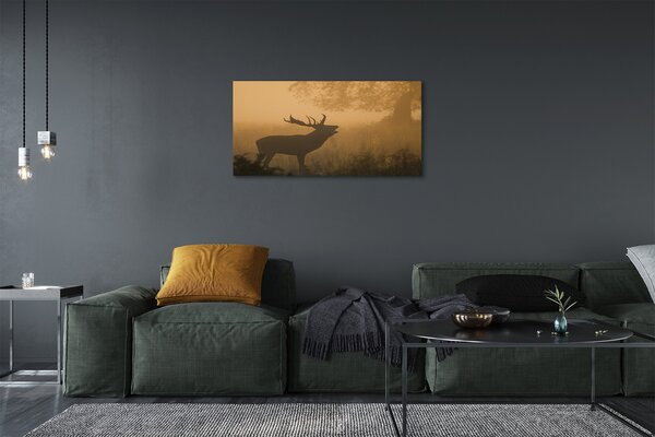Quadro su tela Jeleń Sunrise 100x50 cm