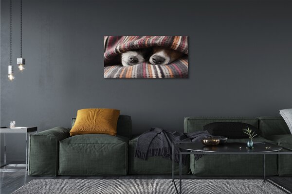Foto quadro su tela Cani che dormono 100x50 cm