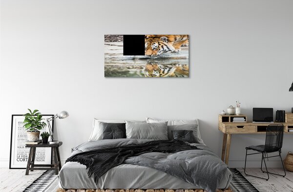 Quadro su tela Bere tigre 100x50 cm