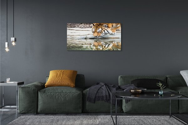 Quadro su tela Bere tigre 100x50 cm