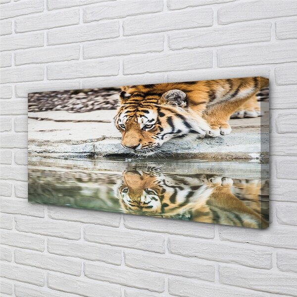 Quadro su tela Bere tigre 100x50 cm