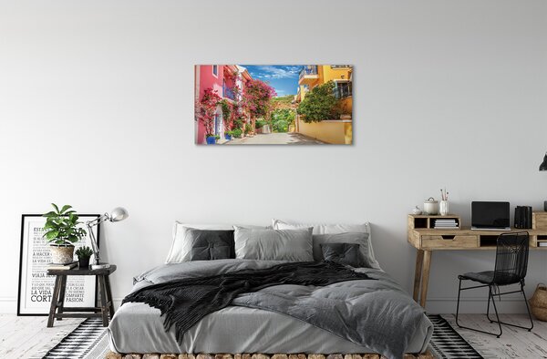 Quadro stampa su tela Grecia Flowers Buildings Mountain 100x50 cm