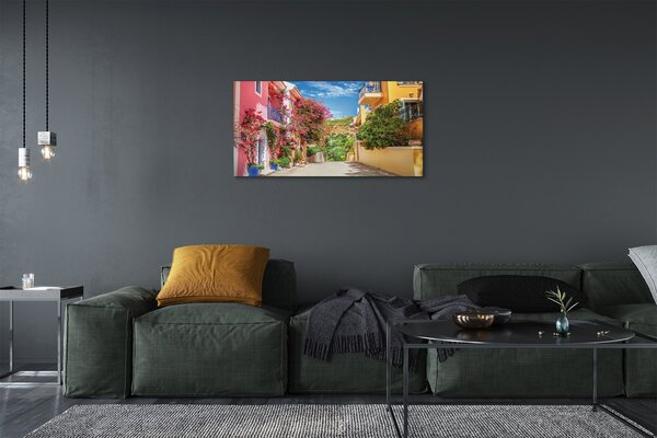 Quadro stampa su tela Grecia Flowers Buildings Mountain 100x50 cm