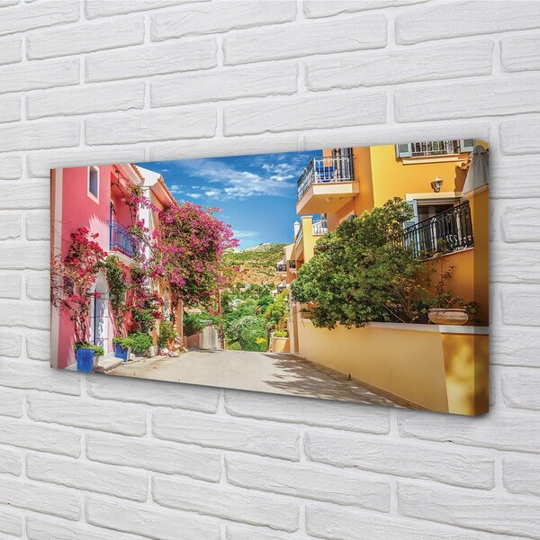 Quadro stampa su tela Grecia Flowers Buildings Mountain 100x50 cm