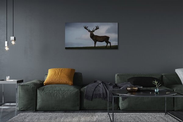 Quadro su tela Night Jeleń 100x50 cm