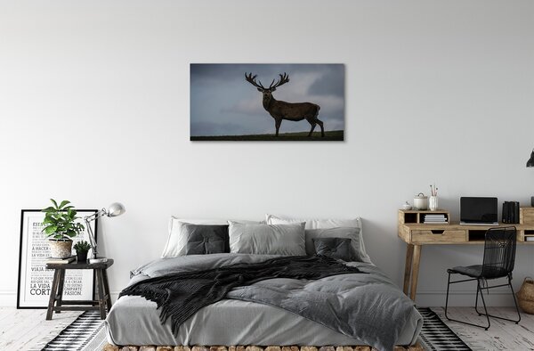 Quadro su tela Night Jeleń 100x50 cm