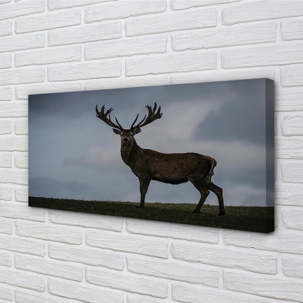Quadro su tela Night Jeleń 100x50 cm