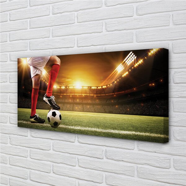 Quadro su tela Gambe dello stadio a sfera 100x50 cm