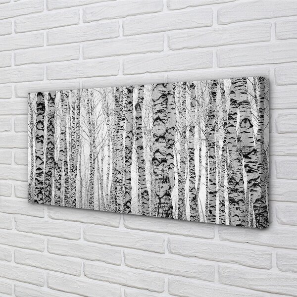 Quadro su tela Betulle in bianco e nero 100x50 cm