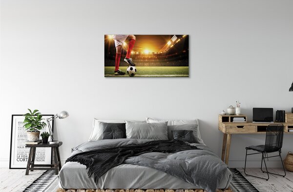Quadro su tela Gambe dello stadio a sfera 100x50 cm