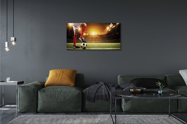 Quadro su tela Gambe dello stadio a sfera 100x50 cm