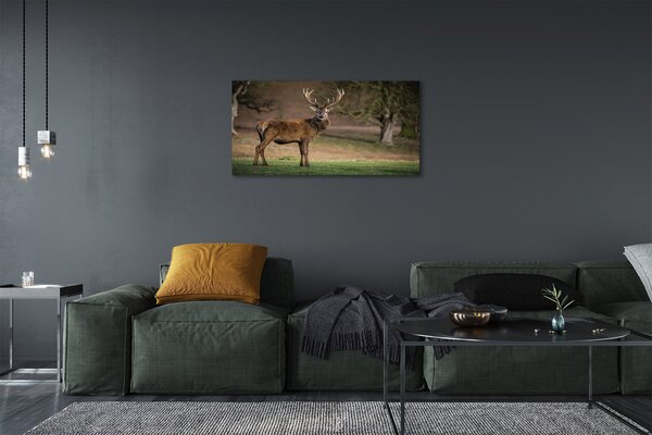 Quadro su tela Cervo sul campo 100x50 cm