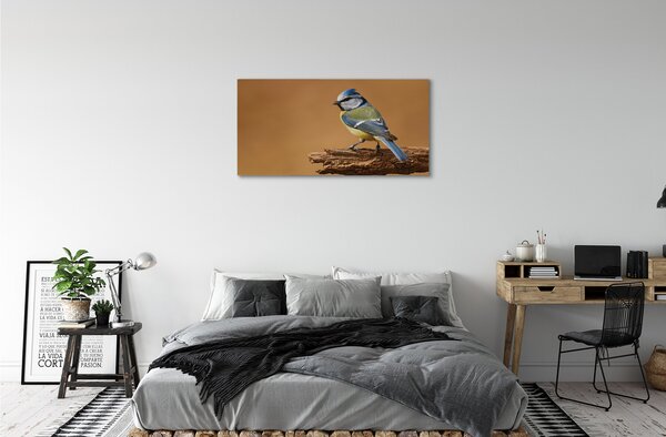 Quadro stampa su tela Uccello 100x50 cm