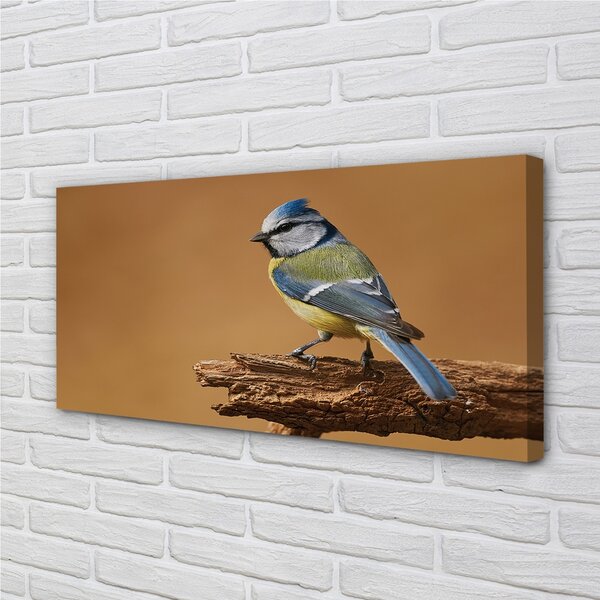 Quadro stampa su tela Uccello 100x50 cm
