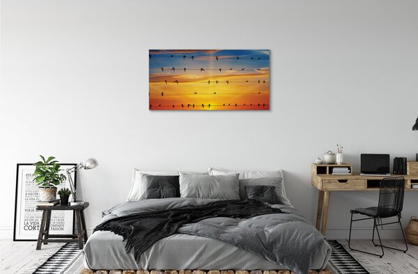 Quadro su tela Uccelli sul tramonto delle corde 100x50 cm