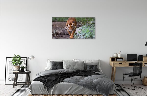Quadro stampa su tela Foresta di tigre 100x50 cm