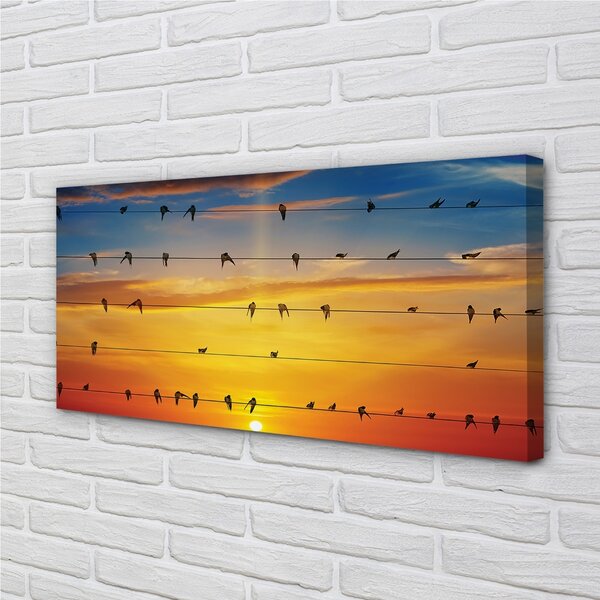 Quadro su tela Uccelli sul tramonto delle corde 100x50 cm