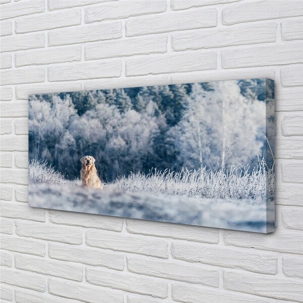 Quadro su tela Dog Mountain Winter 100x50 cm