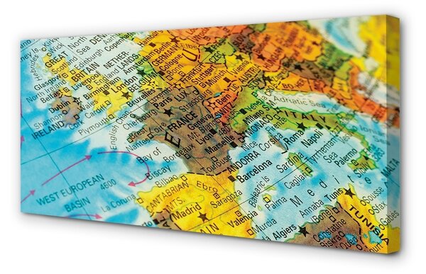 Quadro su tela Mappa globale 100x50 cm