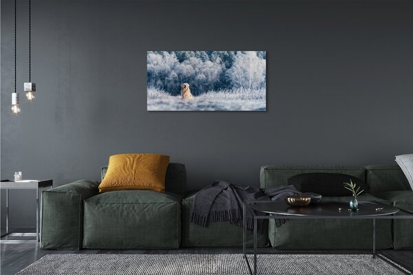 Quadro su tela Dog Mountain Winter 100x50 cm