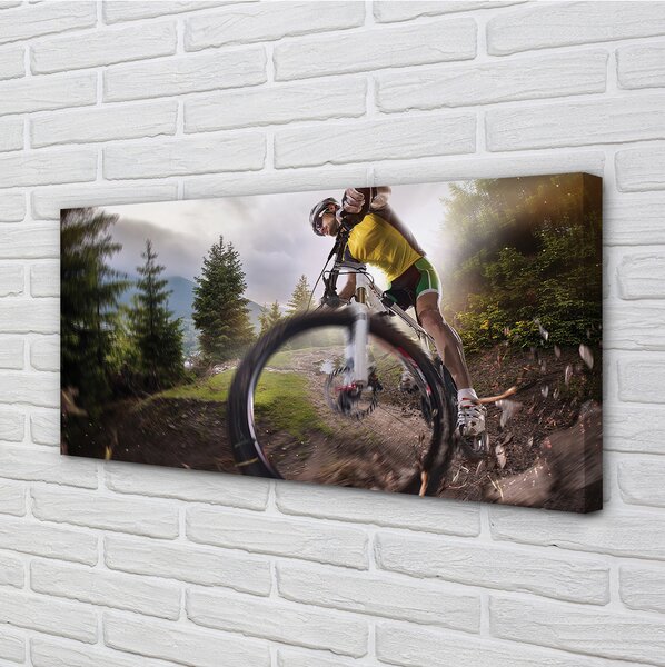 Quadro su tela Nuvole di mountain bike 100x50 cm