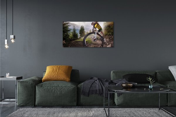 Quadro su tela Nuvole di mountain bike 100x50 cm