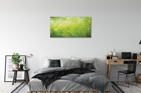 Quadro su tela Lascia cadere l'erba di rugiada 100x50 cm