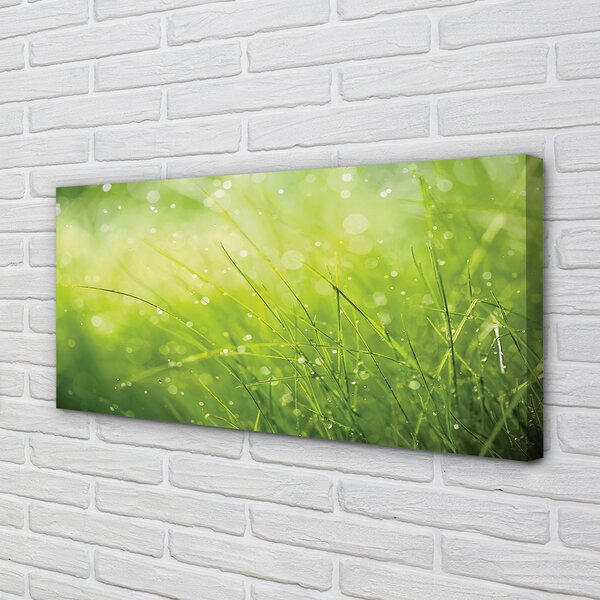 Quadro su tela Lascia cadere l'erba di rugiada 100x50 cm