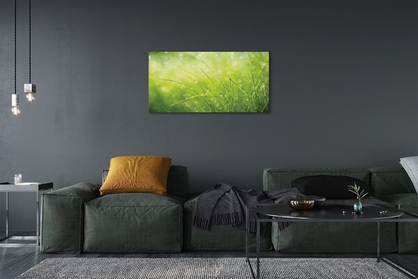 Quadro su tela Lascia cadere l'erba di rugiada 100x50 cm
