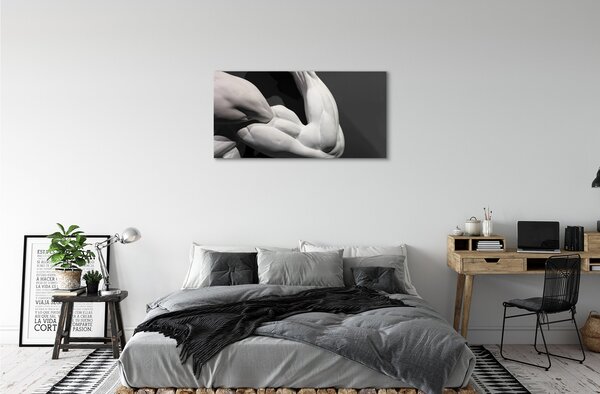 Quadro su tela Muscoli in bianco e nero 100x50 cm