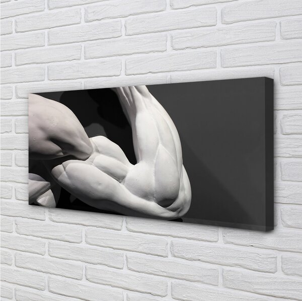 Quadro su tela Muscoli in bianco e nero 100x50 cm