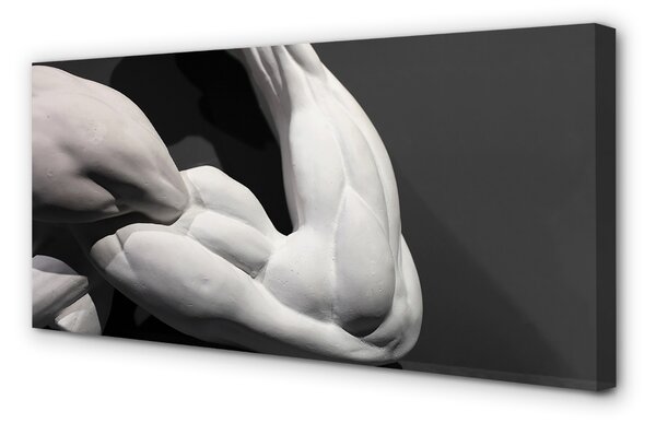 Quadro su tela Muscoli in bianco e nero 100x50 cm