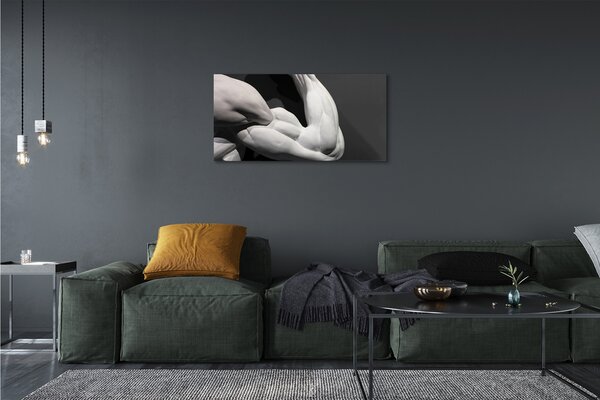 Quadro su tela Muscoli in bianco e nero 100x50 cm